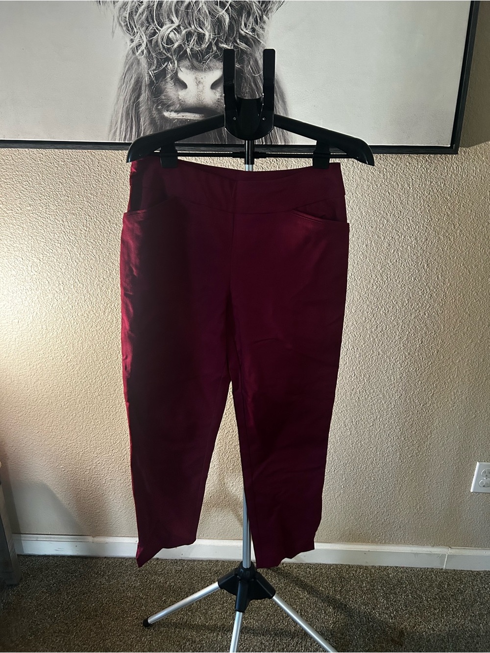Women's Burgundy Pull-On Ankle Pants